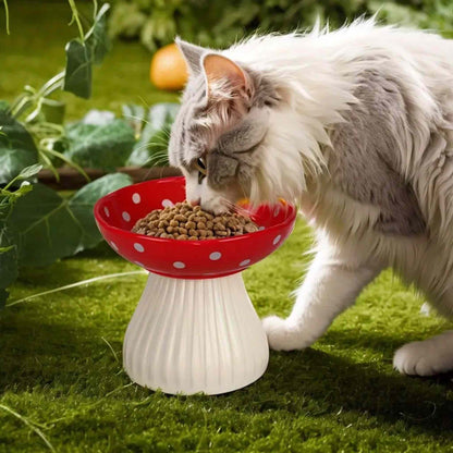 gamelle-chat-surélevée-solide-champignon