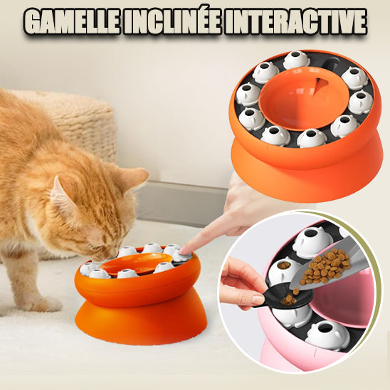 gamelle-interactive-chat-inclinée