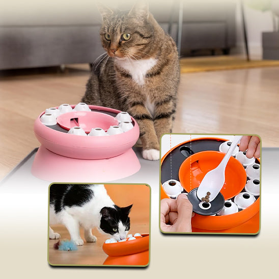 gamelle-interactive-chat-pratique