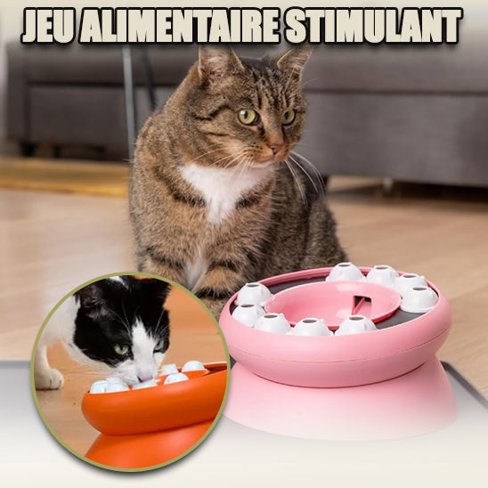 gamelle-interactive-chat-stimulante