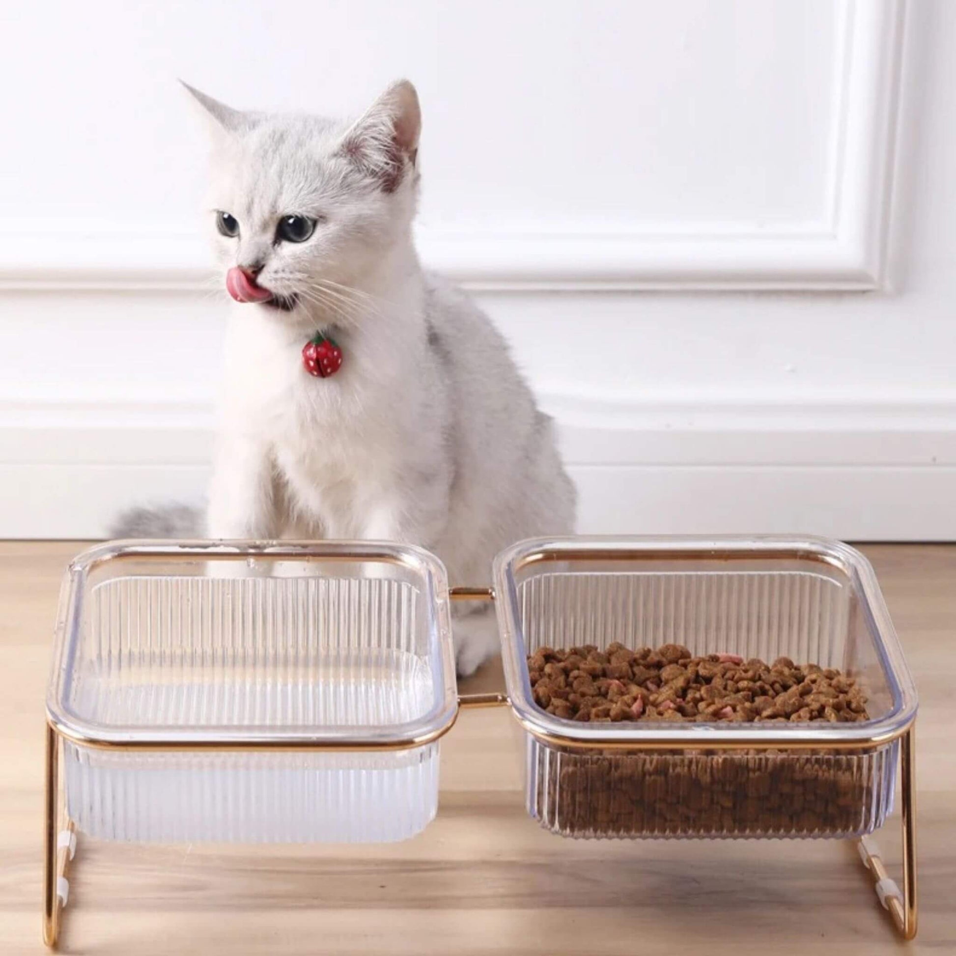gamelle-pour-chat-dorée