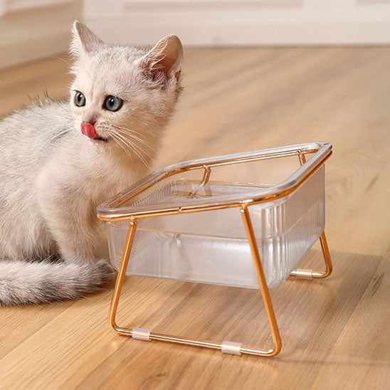 gamelle-pour-chat-simple