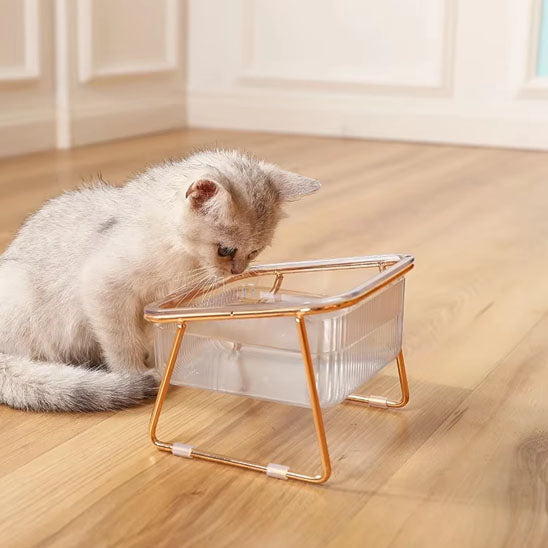 gamelle-pour-chat-unique