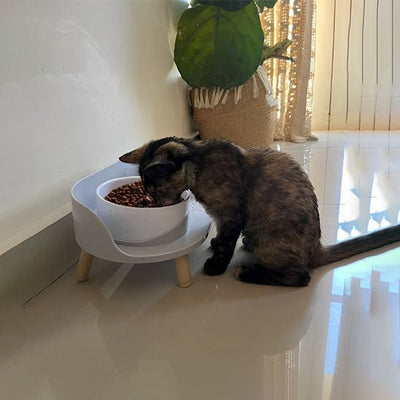 gamelle surélevée chat | CHAREGAL - Happy minet