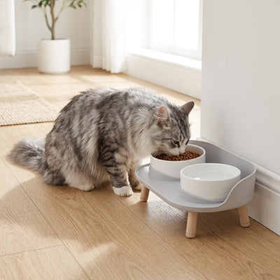 gamelle surélevée chat idéale