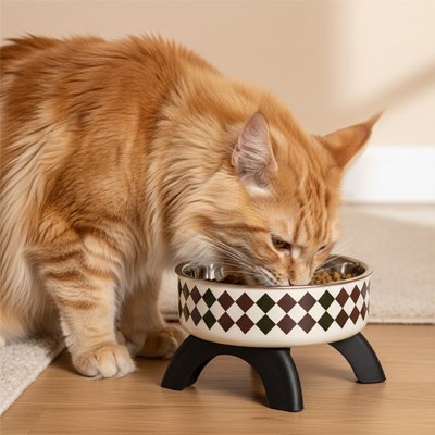 Gamelle surélevée chat losange