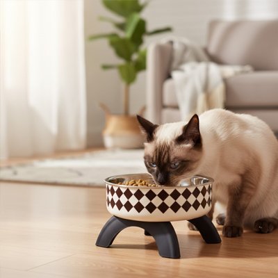 Gamelle surélevée chat unique