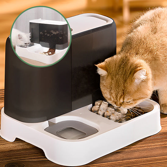 gamelle_automatique_chat_durable