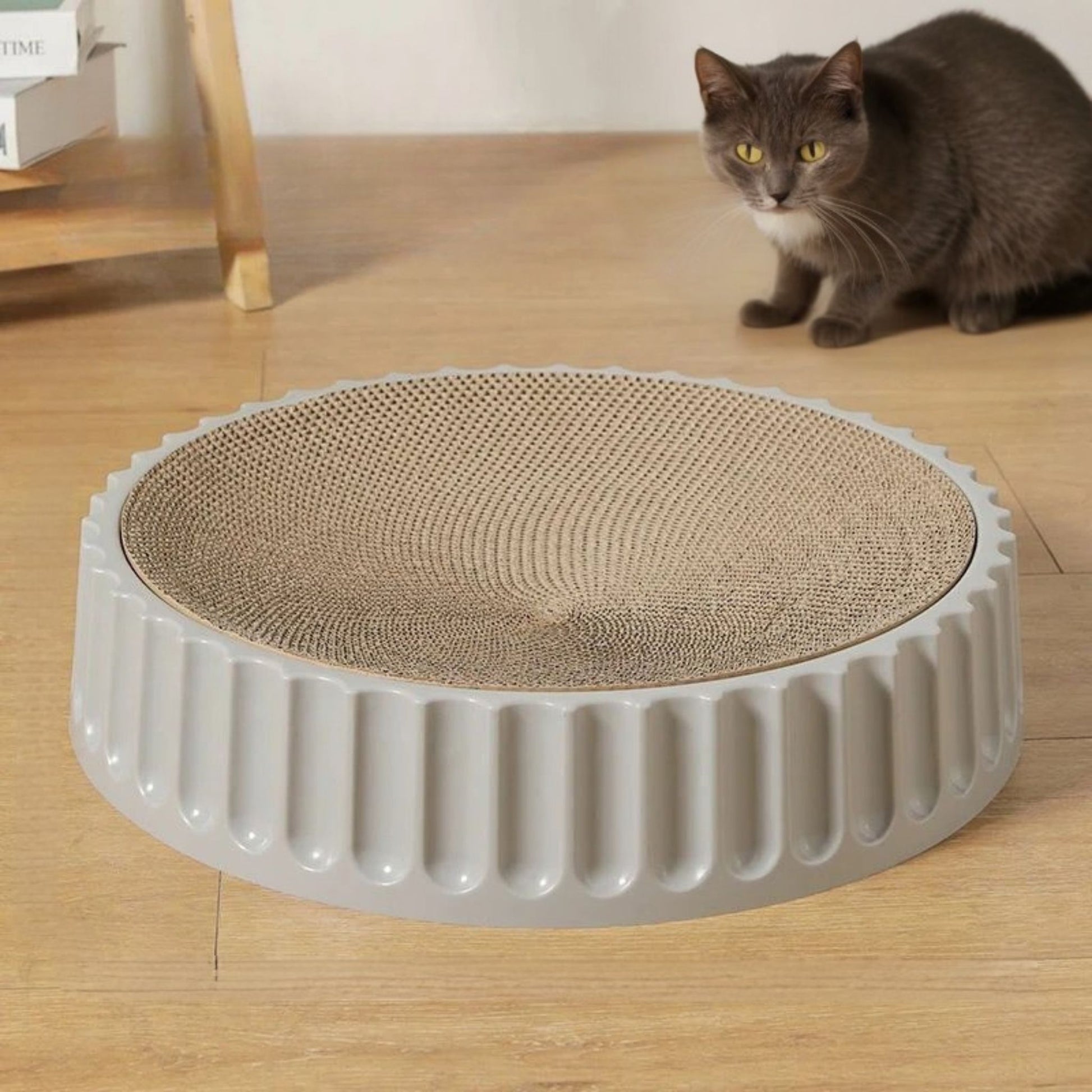 griffoir-à-chat-gris-carton