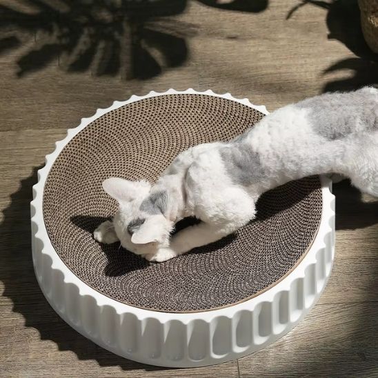 griffoir-à-chat-ludique