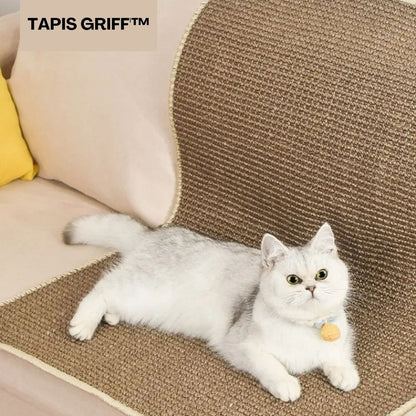 griffoir-chat-canapé