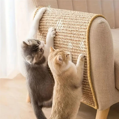 griffoir-chat-canapé