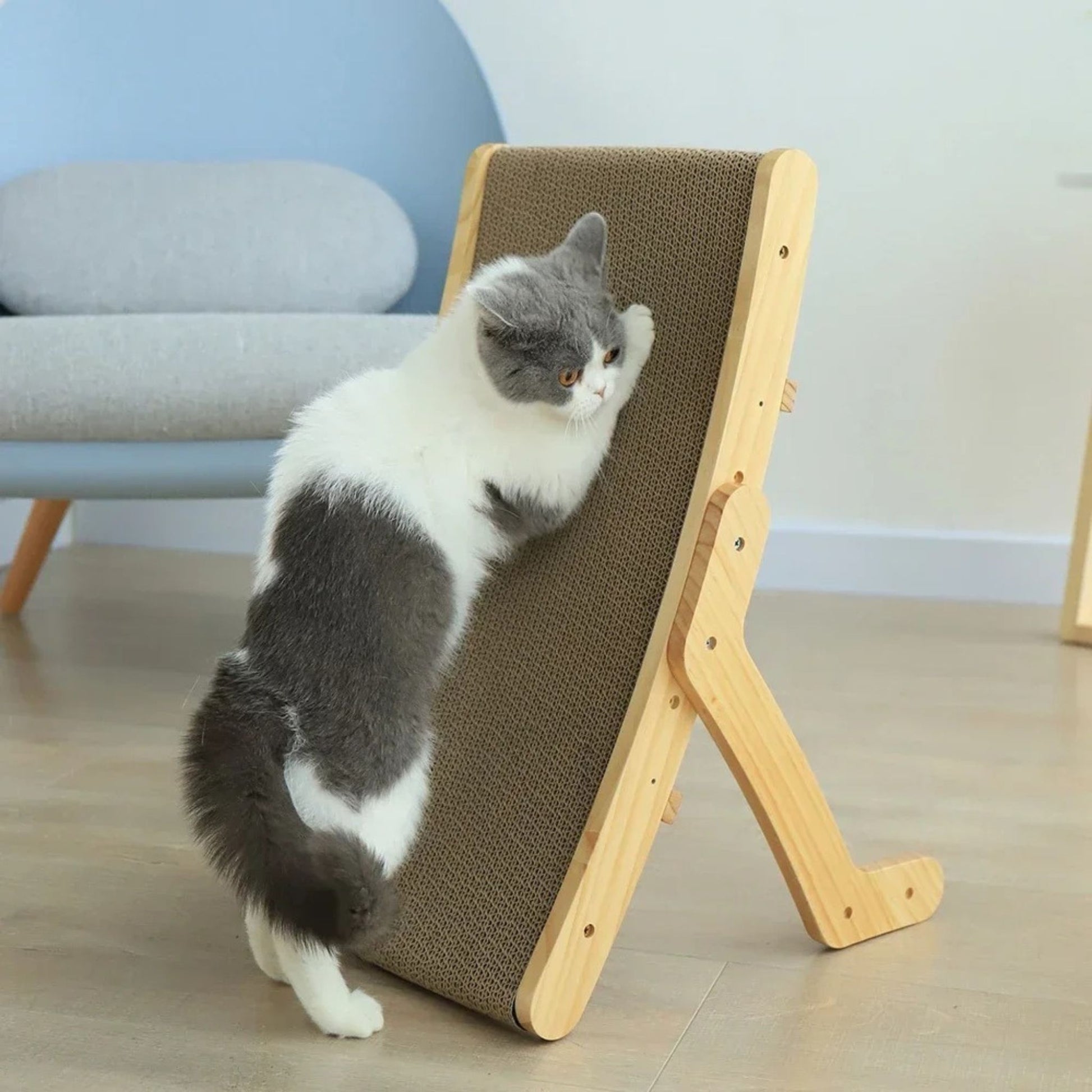 griffoir-chat-carton-debout