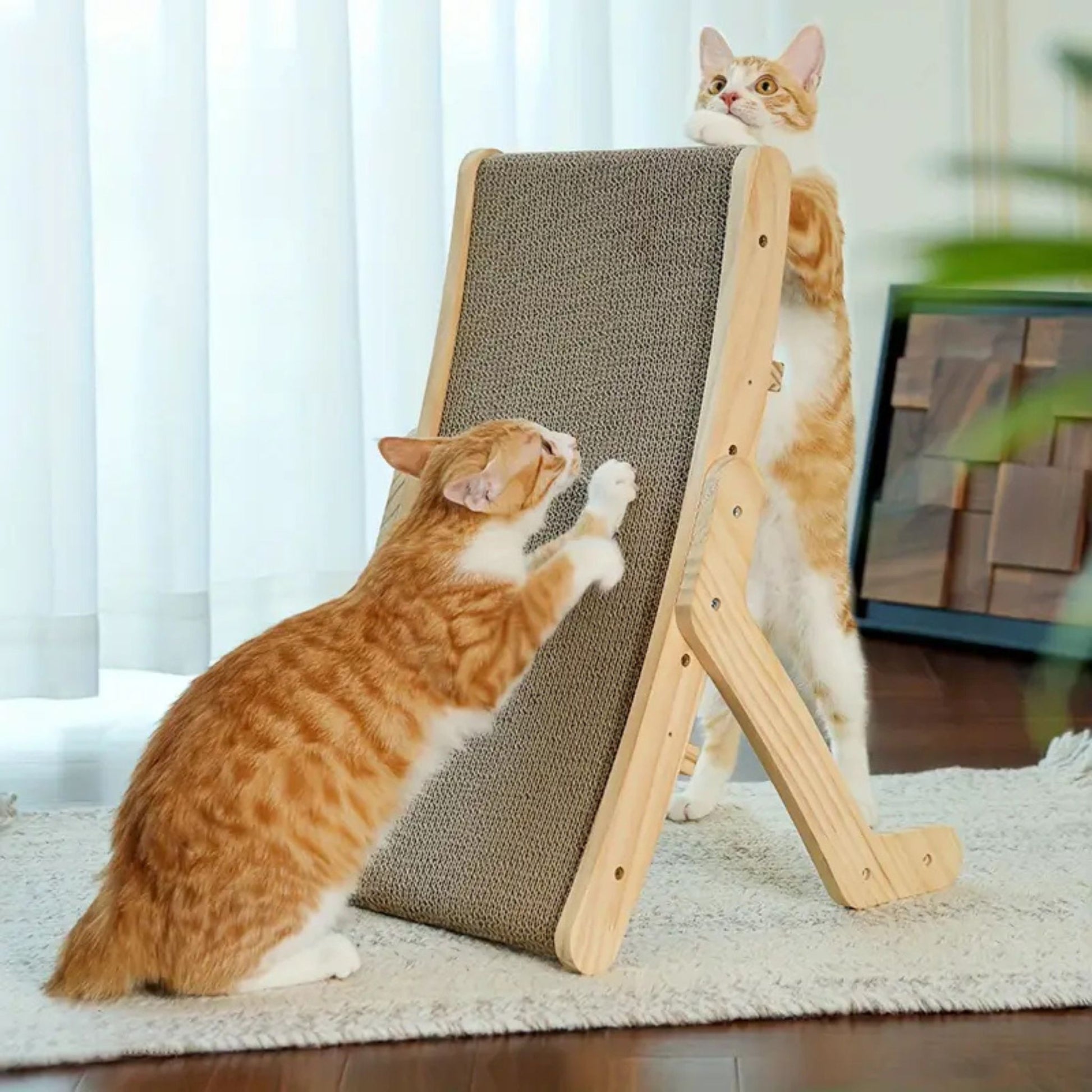 griffoir-chat-carton-jeu-grattage