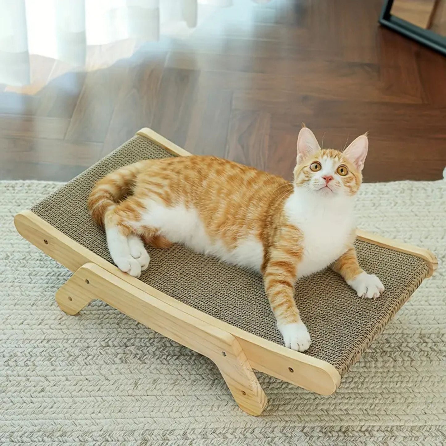 griffoir-chat-carton-lit