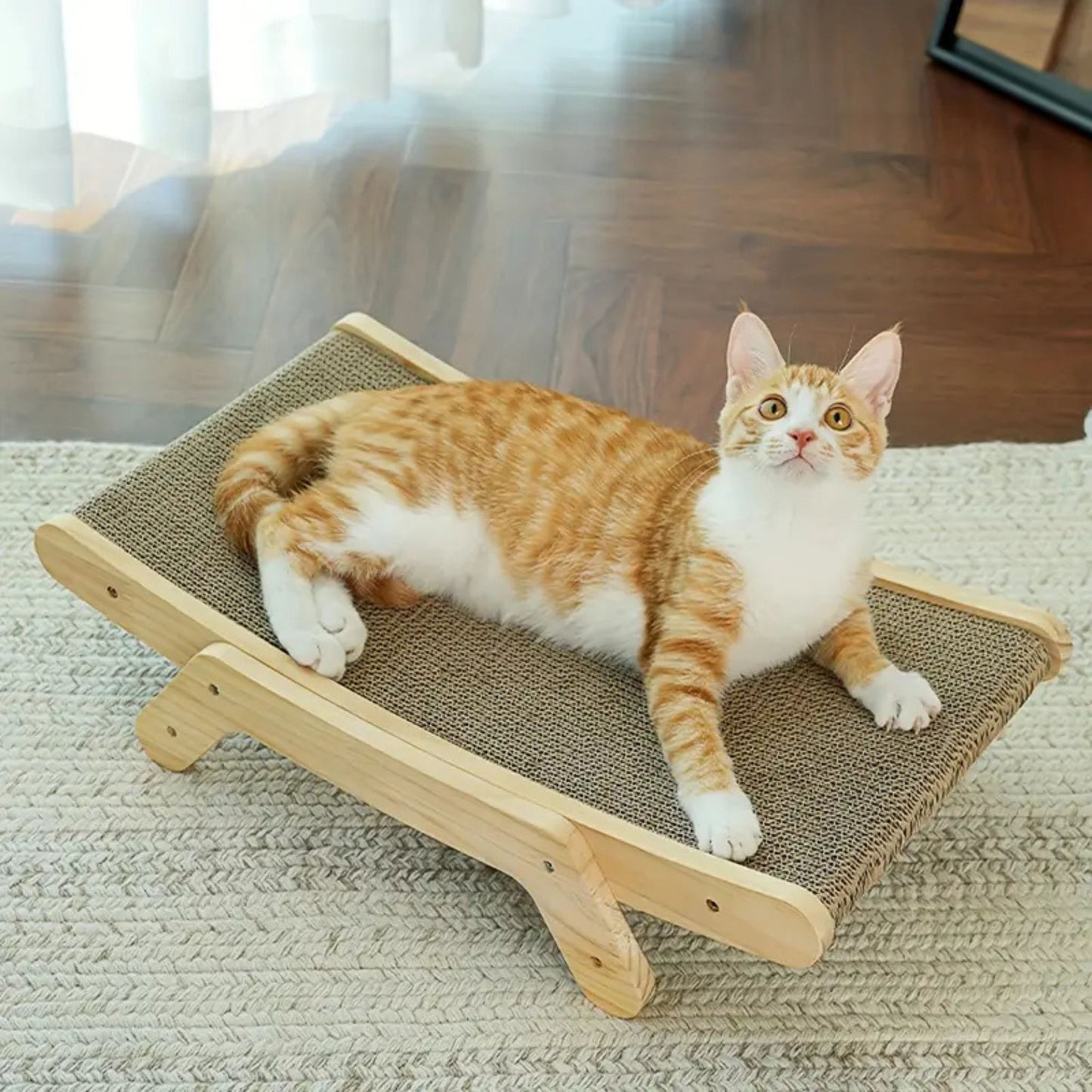 griffoir-chat-carton-lit