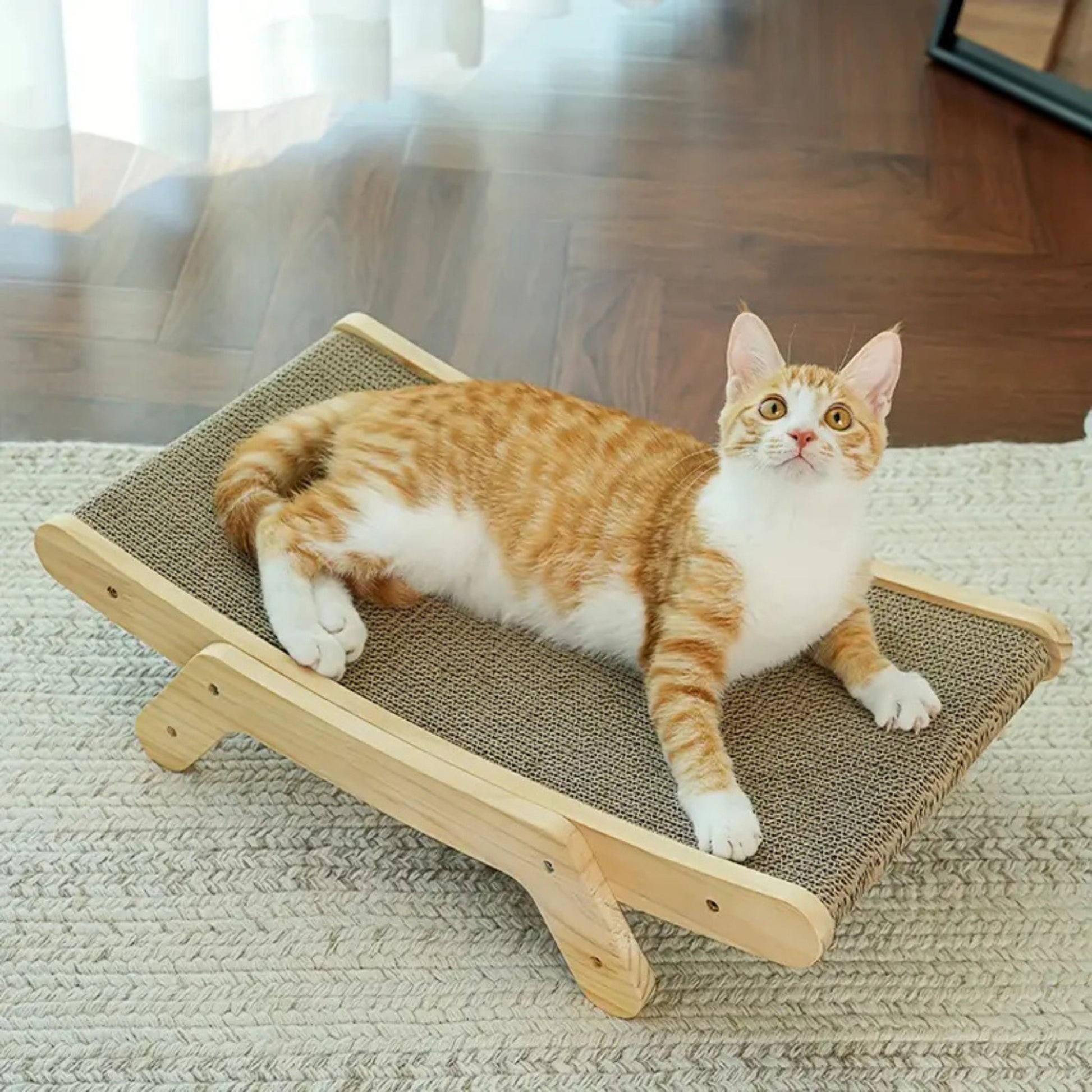 griffoir-chat-carton-lit