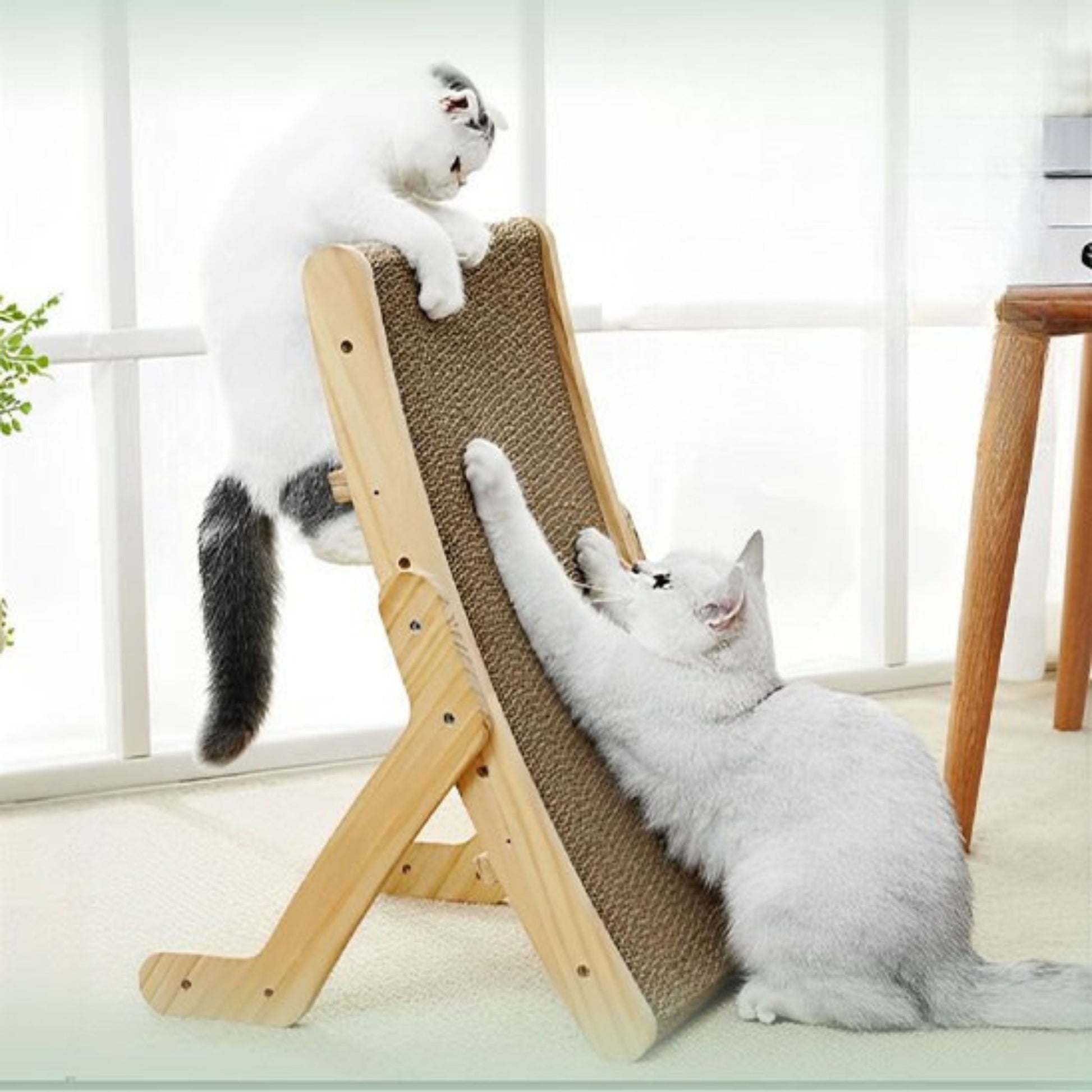 griffoir-chat-carton-ludique