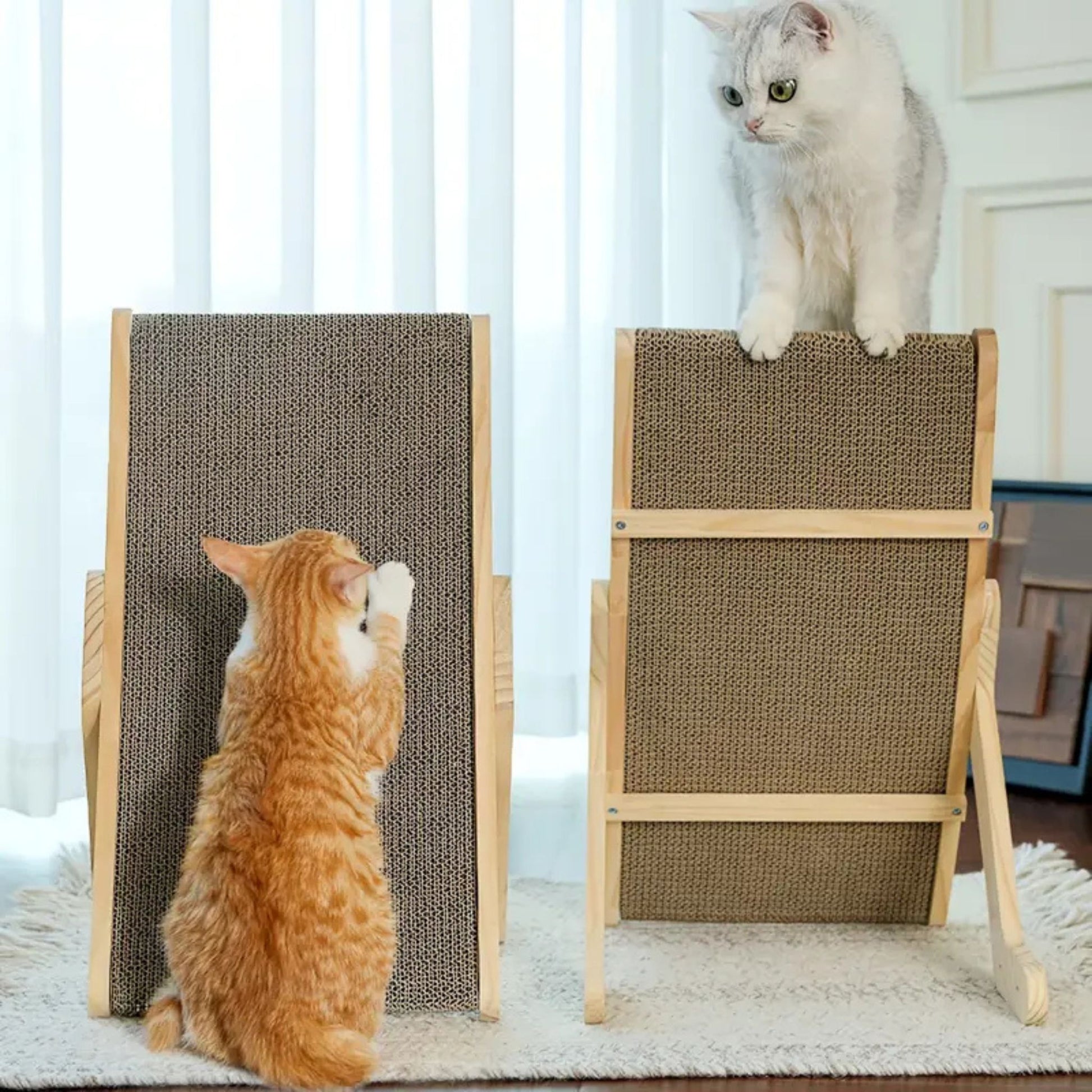 griffoir-chat-carton-pratique
