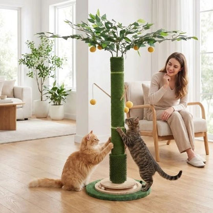 griffoir chat design complet