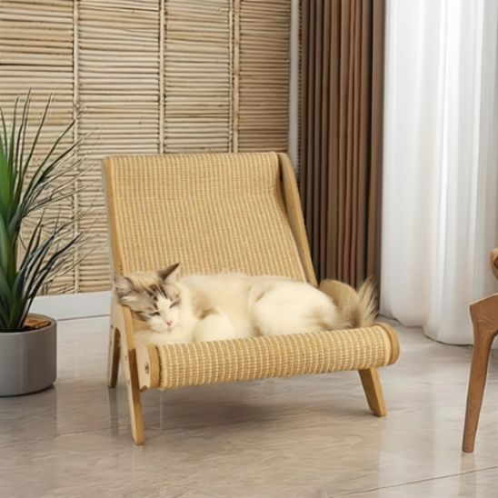 griffoir chat design