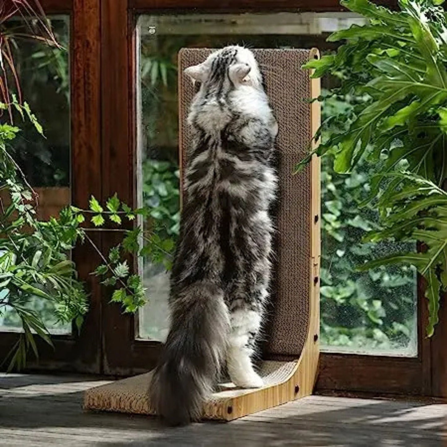 griffoir-chat-position