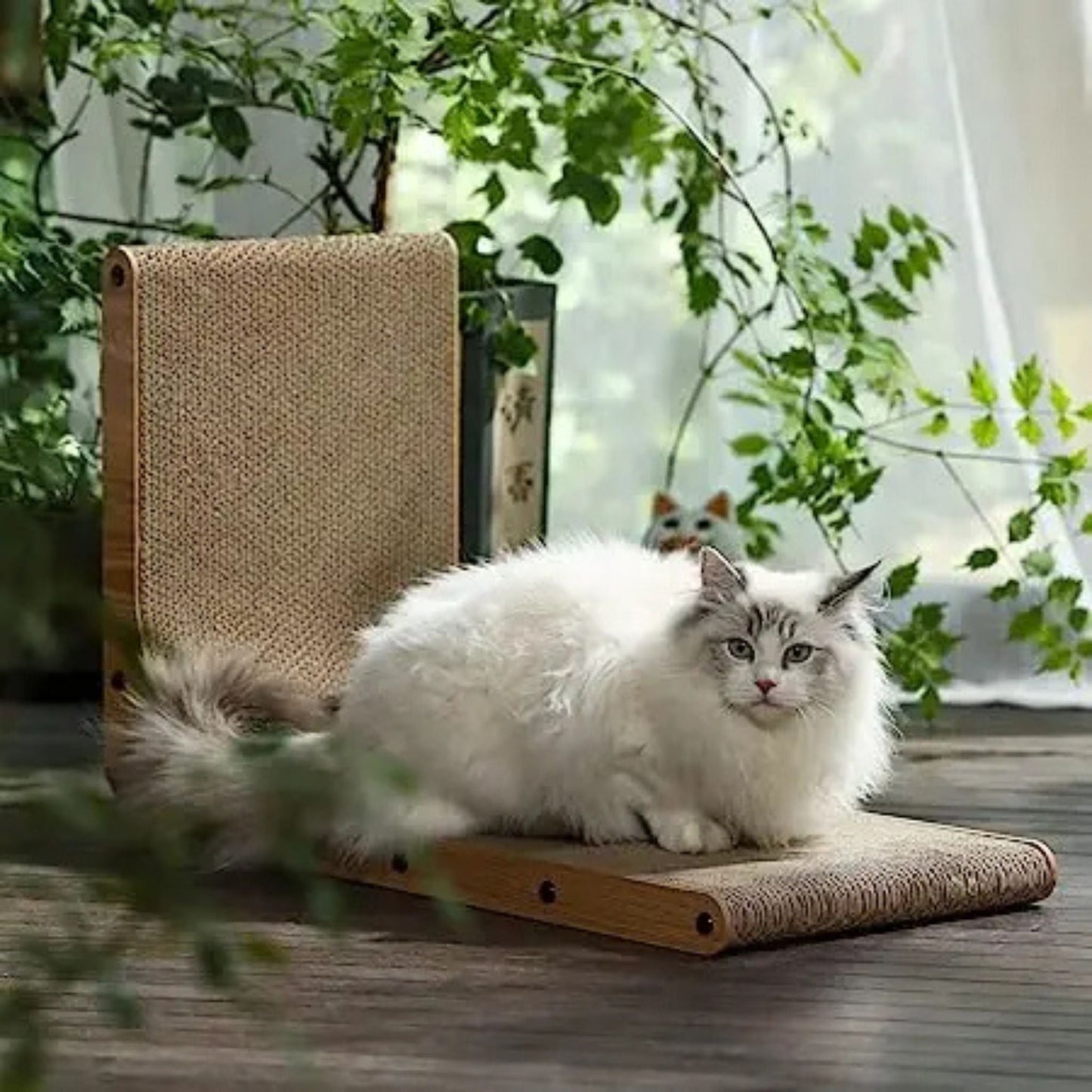 griffoir-chat-allongé