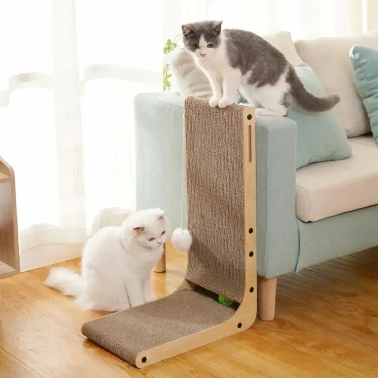 griffoir-chat-multichats