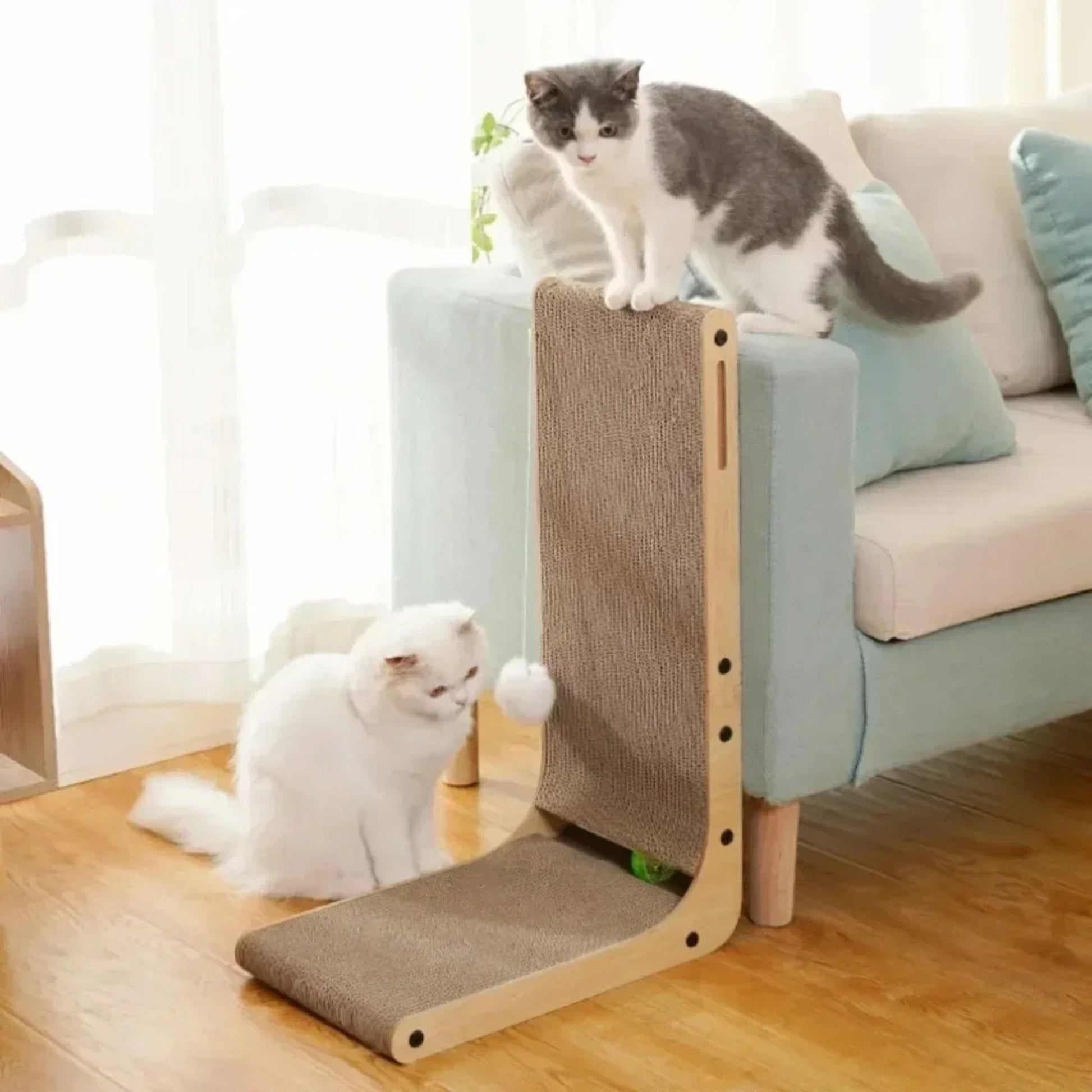 griffoir-chat-multichats