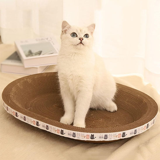 griffoir chat original carton