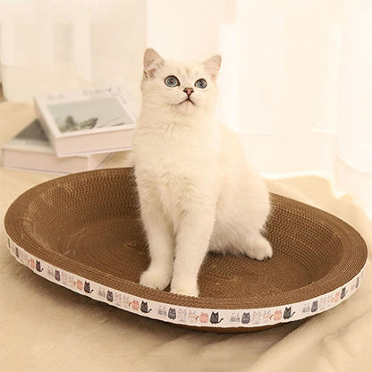 griffoir chat original carton