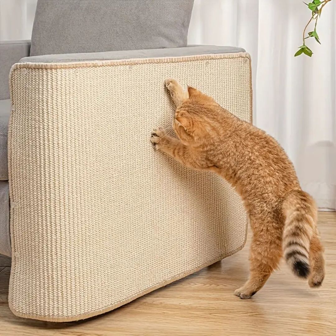 griffoir-chat-protection-griffes
