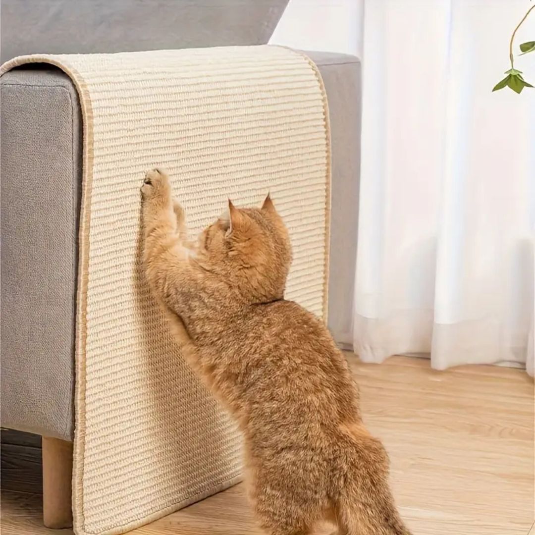 griffoir-chat-tapis-griff