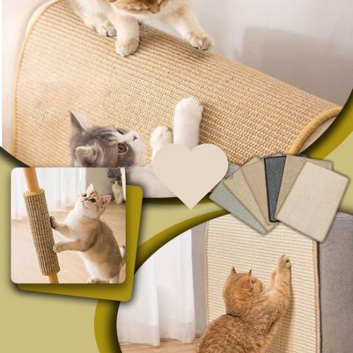 griffoir-chat-tapis