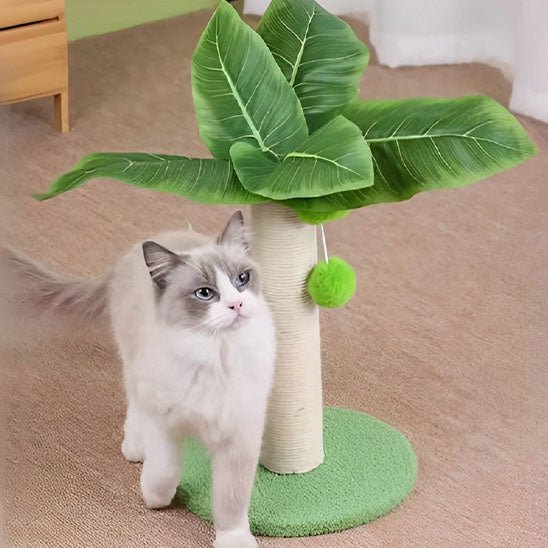 griffoir | GRIFF'PALMIER - Happy minet