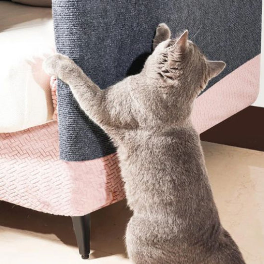 griffoir-mural-chat-canapé