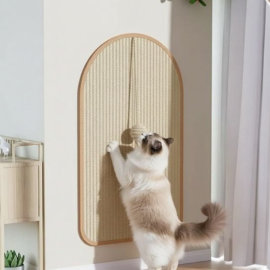 griffoir mural chat idéal