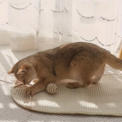 griffoir mural chat sol