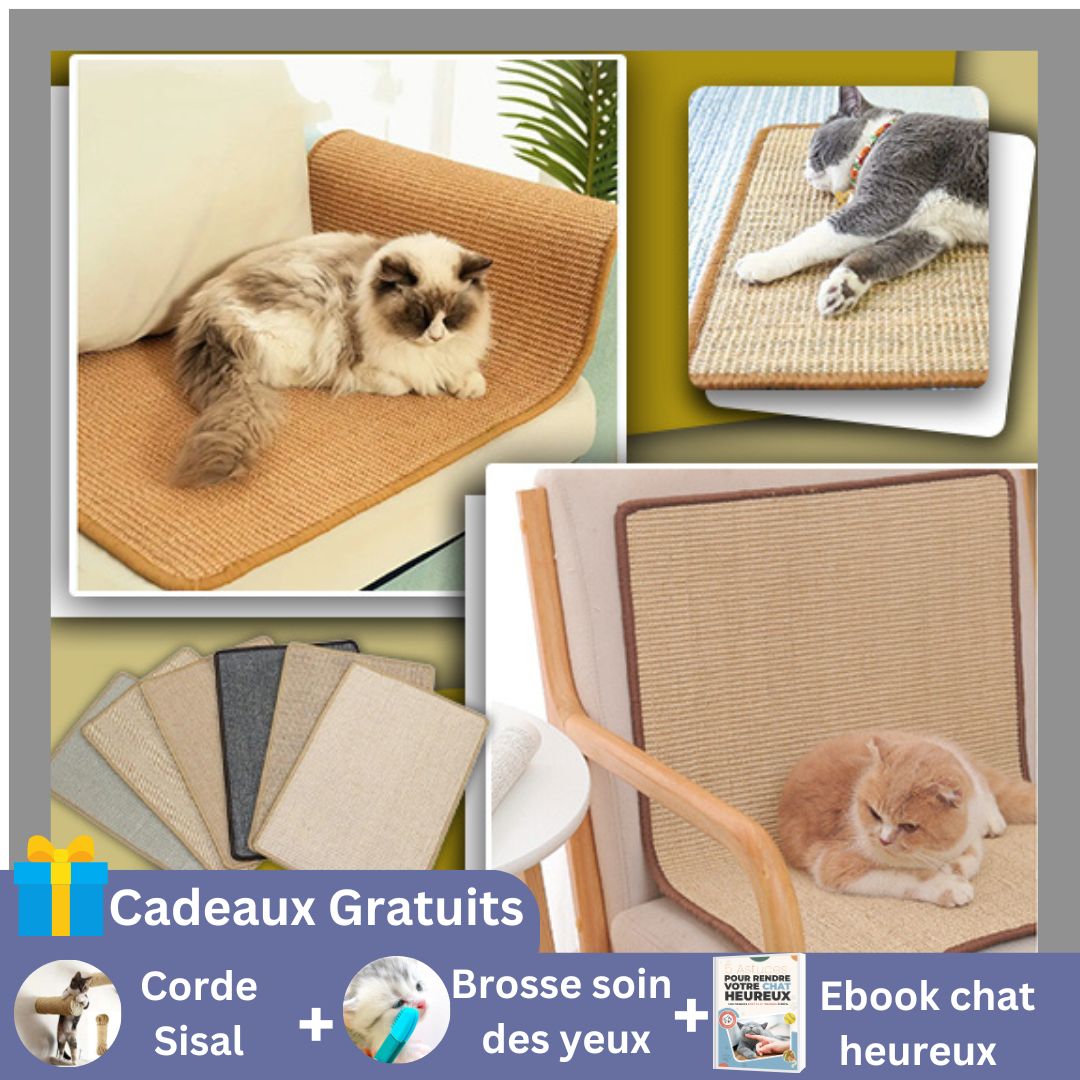 griffoir-chat |TAPIS GRIFF'™ - Happy minet