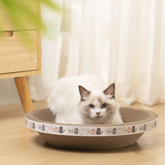 griffoir rond pour chat durable