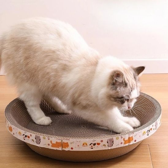 griffoir rond pour chat griffes