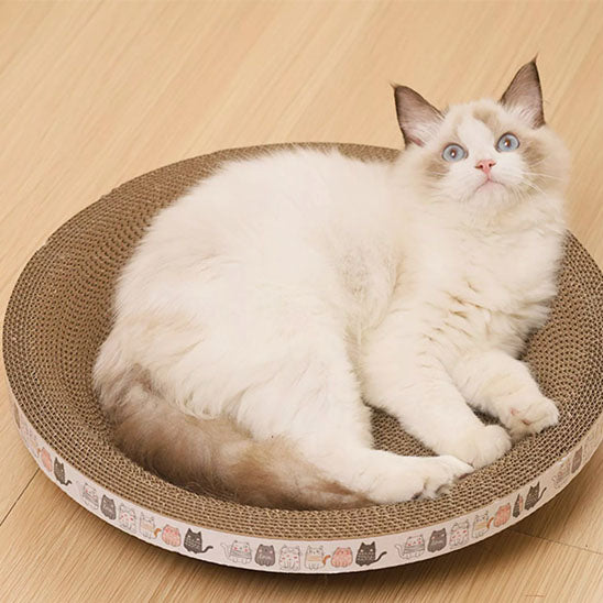 griffoir rond pour chat