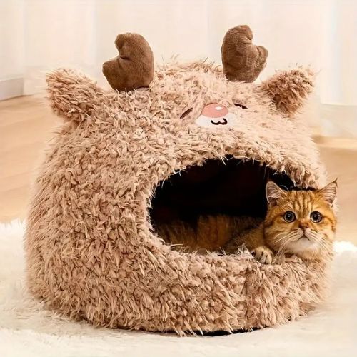 grotte chat | DODO'ANIMO - Happy minet