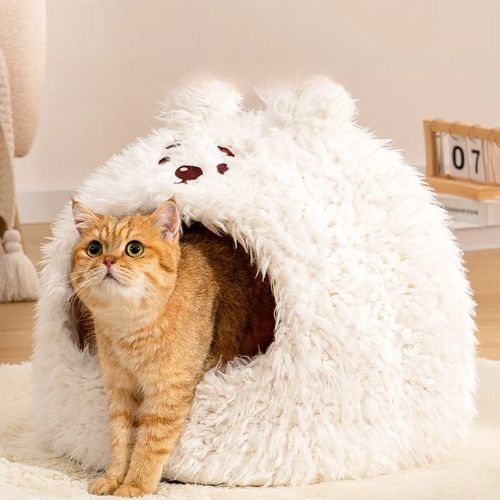 grotte chat | DODO'ANIMO - Happy minet