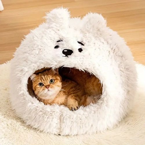 grotte chat | DODO'ANIMO - Happy minet