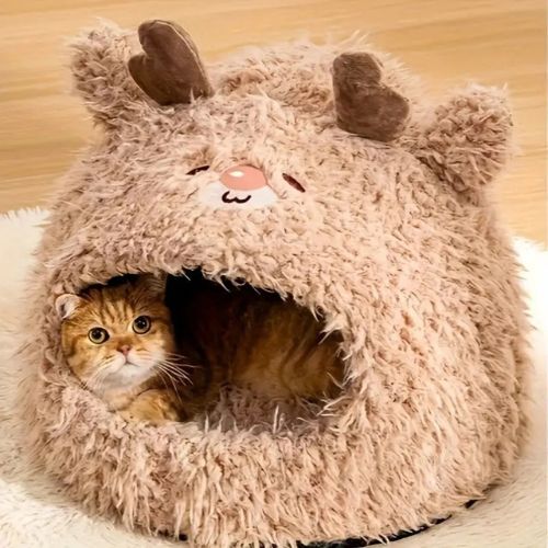 grotte chat | DODO'ANIMO - Happy minet