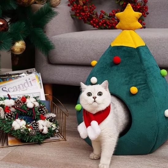 grotte chat | DODOSAPIN - Happy minet