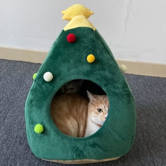grotte chat | DODOSAPIN - Happy minet