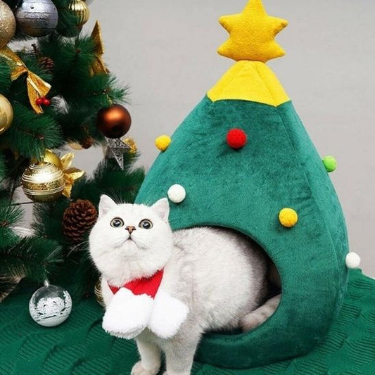grotte chat | DODOSAPIN - Happy minet