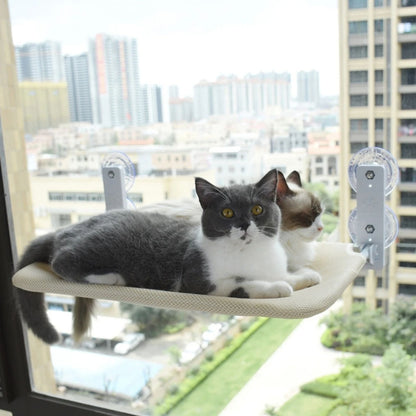 hamac-chat-charge